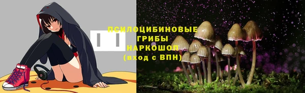 дурь Алексеевка