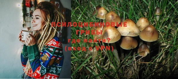 мескалин Абаза