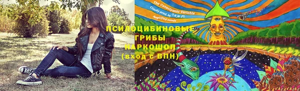 мяу мяу мука Алзамай