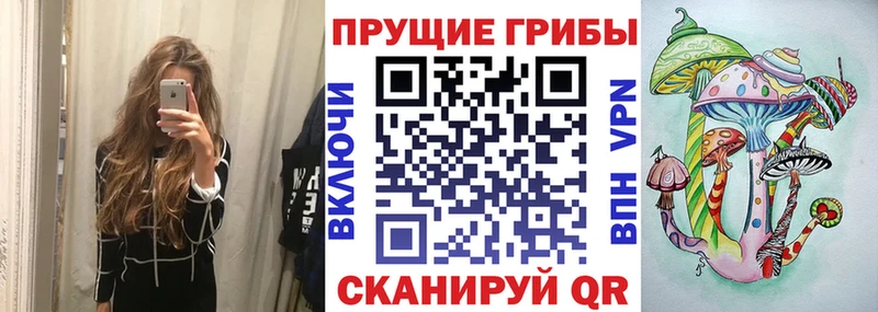 Псилоцибиновые грибы GOLDEN TEACHER Цимлянск